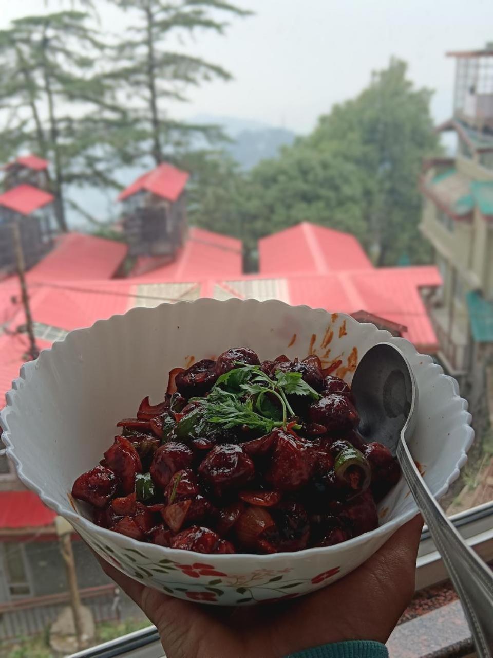 Hotel Jakhu Heights Shimla Dış mekan fotoğraf