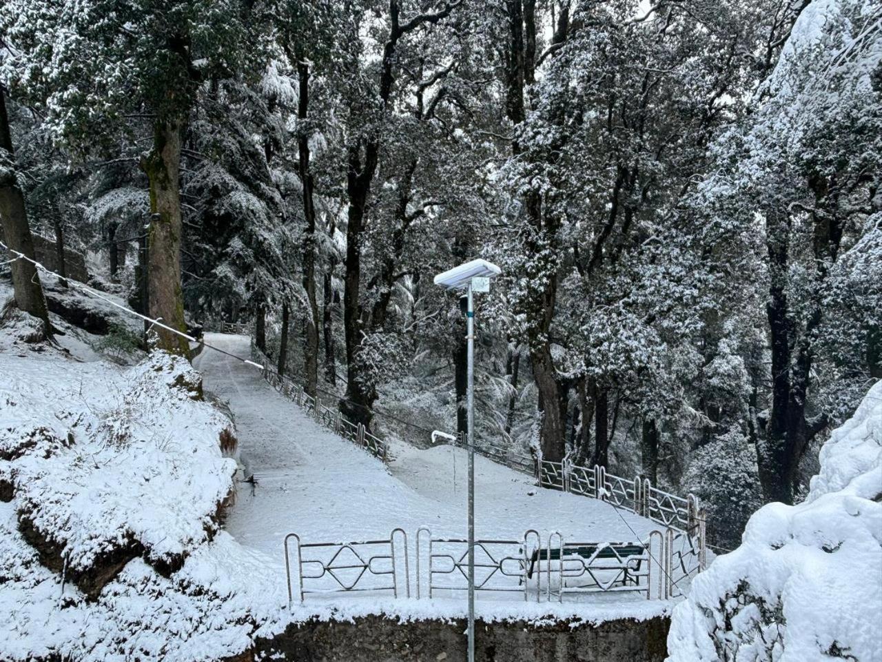 Hotel Jakhu Heights Shimla Dış mekan fotoğraf