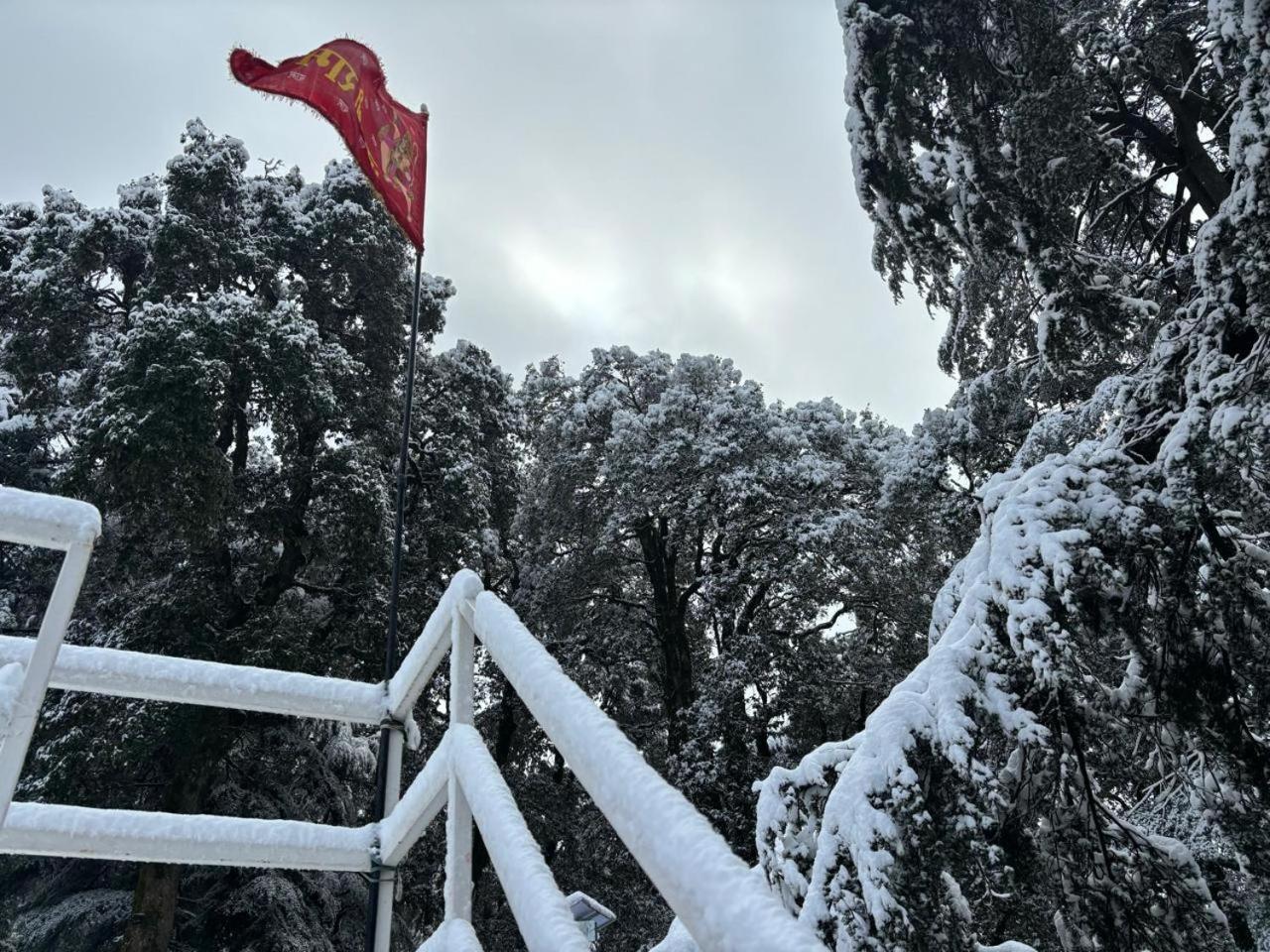 Hotel Jakhu Heights Shimla Dış mekan fotoğraf