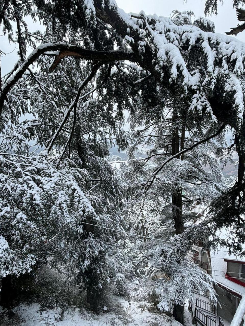 Hotel Jakhu Heights Shimla Dış mekan fotoğraf