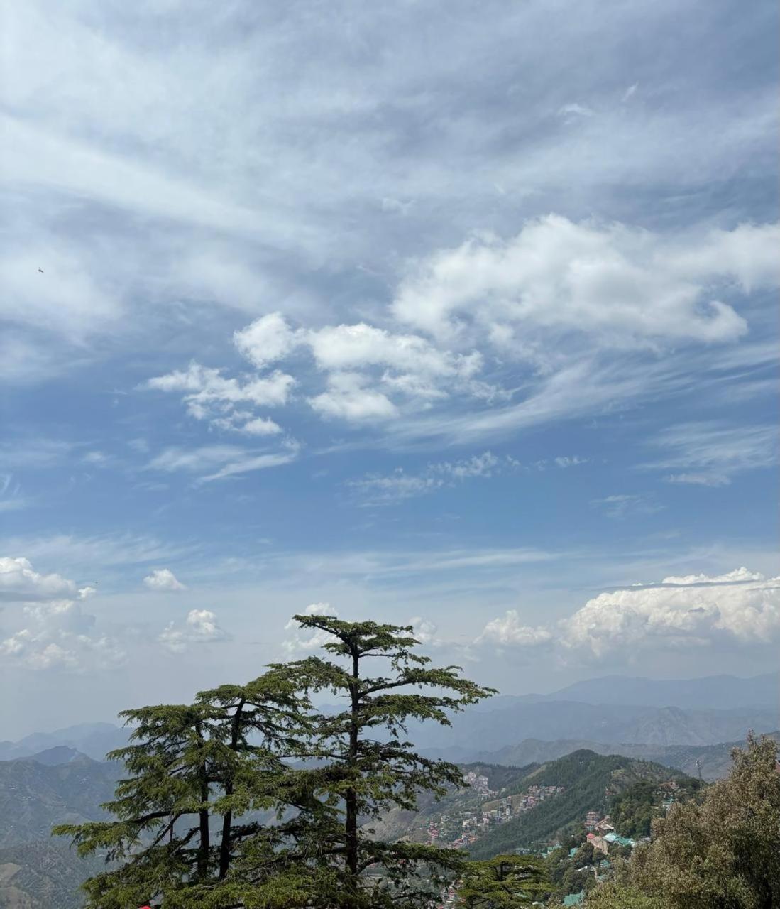 Hotel Jakhu Heights Shimla Dış mekan fotoğraf